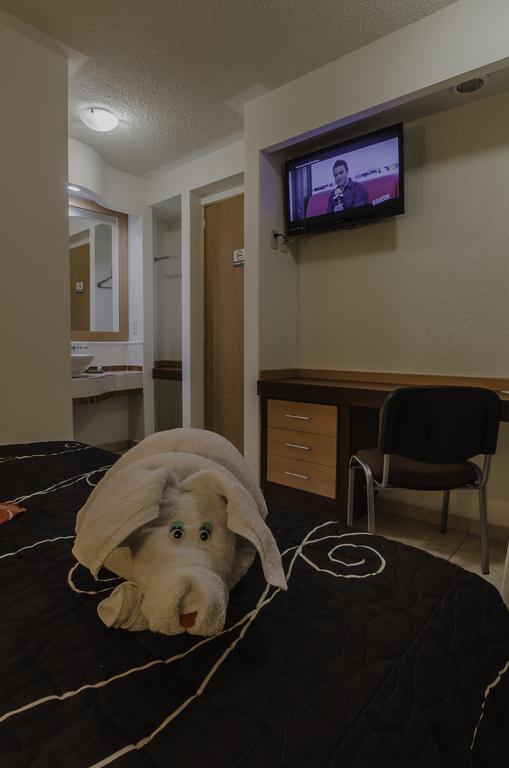 Hotel Petit Tehuacán 部屋 写真