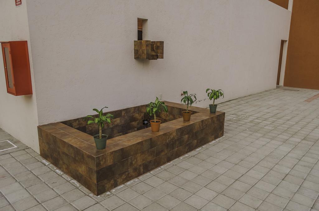 Hotel Petit Tehuacán エクステリア 写真